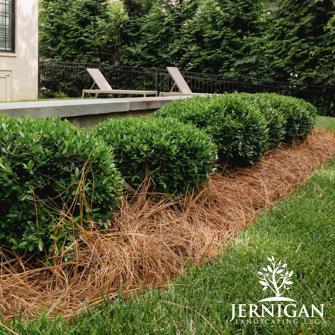 Curated Garden Oasis