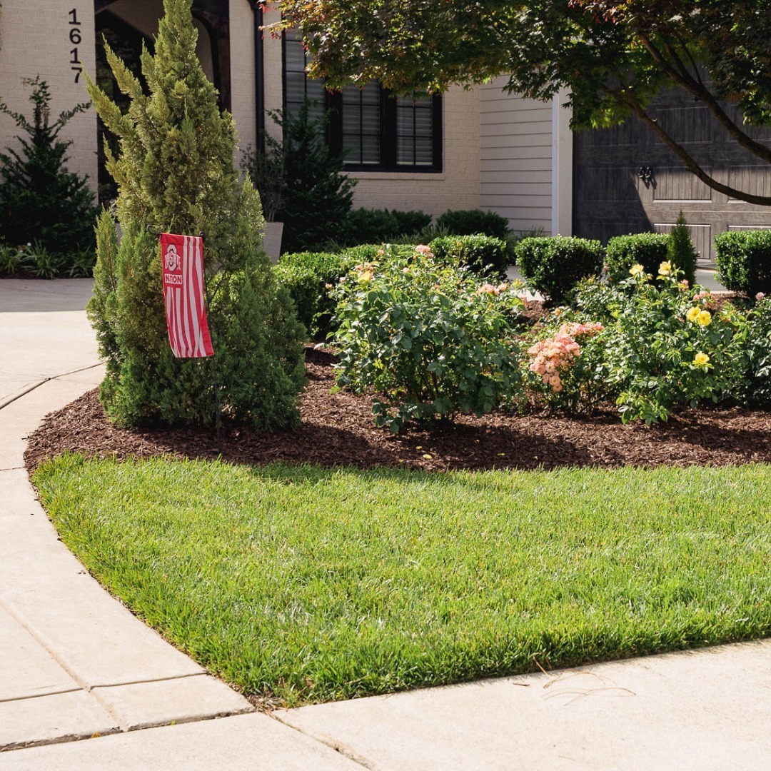 Architectural Landscape Lighting